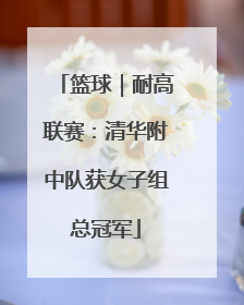 篮球｜耐高联赛：清华附中队获女子组总冠军
