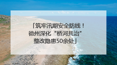 筑牢汛期安全防线！德州深化“桥河共治”整改隐患50余处