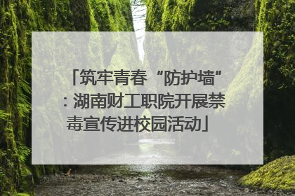 筑牢青春“防护墙”：湖南财工职院开展禁毒宣传进校园活动
