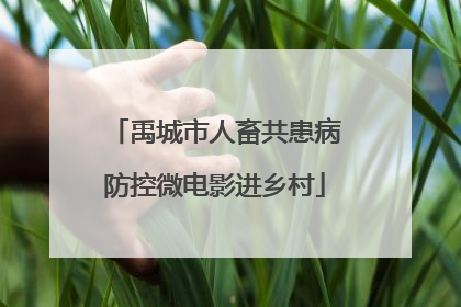 禹城市人畜共患病防控微电影进乡村