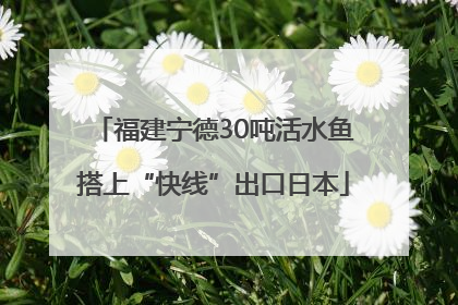 福建宁德30吨活水鱼搭上“快线”出口日本