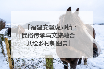 福建安溪虎邱镇：民俗传承与文旅融合共绘乡村新图景