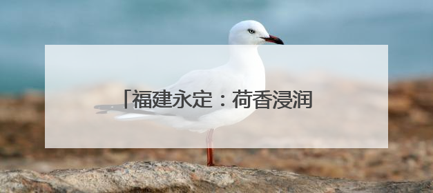 福建永定：荷香浸润红土地 文化会客厅焕发乡村振兴新活力