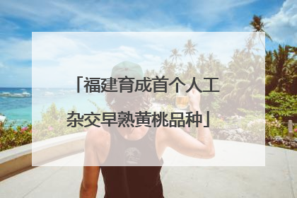 福建育成首个人工杂交早熟黄桃品种