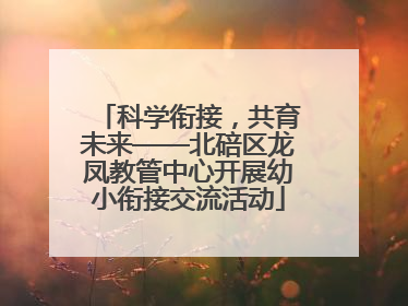 科学衔接，共育未来——北碚区龙凤教管中心开展幼小衔接交流活动