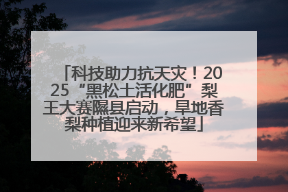 科技助力抗天灾！2025“黑松土活化肥”梨王大赛隰县启动，旱地香梨种植迎来新希望