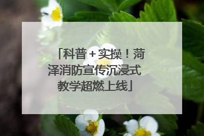 科普＋实操！菏泽消防宣传沉浸式教学超燃上线