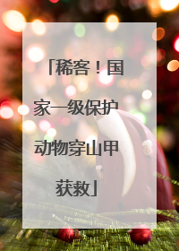 稀客！国家一级保护动物穿山甲获救