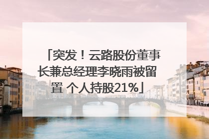 突发！云路股份董事长兼总经理李晓雨被留置 个人持股21%