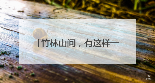 竹林山间，有这样一群平安“守望者”