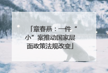 章春燕：一件“小”案推动国家层面政策法规改变