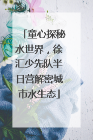 童心探秘水世界，徐汇少先队半日营解密城市水生态
