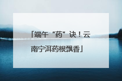 端午“药”诀！云南宁洱药根飘香