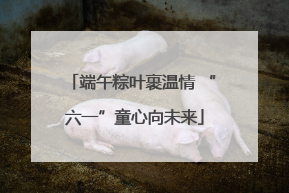 端午粽叶裹温情 “六一”童心向未来