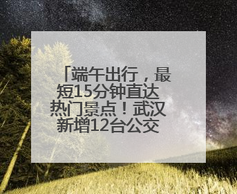 端午出行，最短15分钟直达热门景点！武汉新增12台公交定制车
