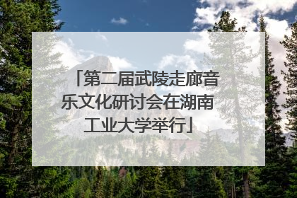 第二届武陵走廊音乐文化研讨会在湖南工业大学举行