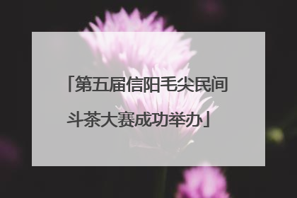 第五届信阳毛尖民间斗茶大赛成功举办