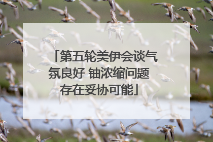 第五轮美伊会谈气氛良好 铀浓缩问题存在妥协可能