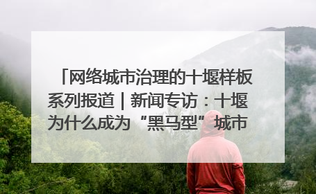 网络城市治理的十堰样板系列报道｜新闻专访：十堰为什么成为“黑马型”城市治理网络维度典型