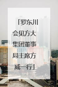 罗东川会见方大集团董事局主席方威一行