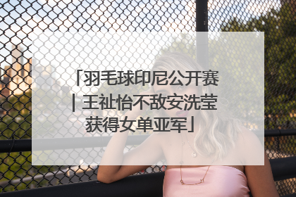 羽毛球印尼公开赛｜王祉怡不敌安洗莹 获得女单亚军
