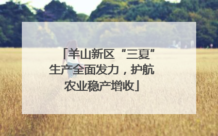 羊山新区“三夏”生产全面发力，护航农业稳产增收