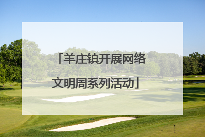 羊庄镇开展网络文明周系列活动