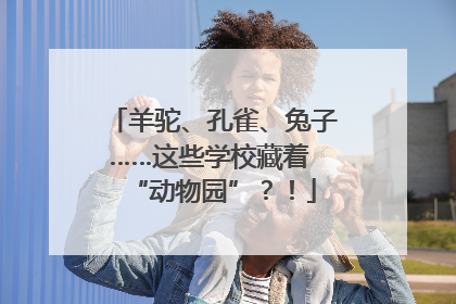 羊驼、孔雀、兔子……这些学校藏着 “动物园”？！