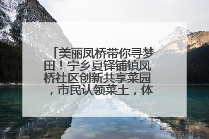 美丽凤桥带你寻梦田！宁乡夏铎铺镇凤桥社区创新共享菜园，市民认领菜土，体验耕种收获乐趣