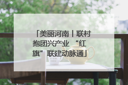 美丽河南丨联村抱团兴产业 “红旗”联建动脉通