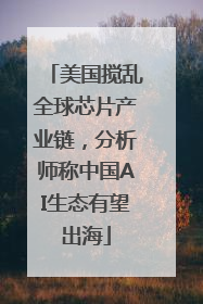 美国搅乱全球芯片产业链，分析师称中国AI生态有望出海