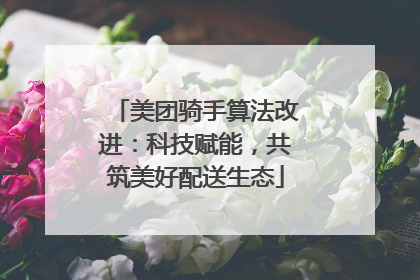 美团骑手算法改进：科技赋能，共筑美好配送生态