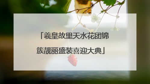 羲皇故里天水花团锦簇靓丽盛装喜迎大典