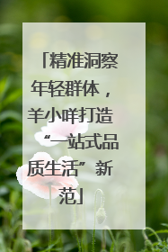 精准洞察年轻群体，羊小咩打造“一站式品质生活”新范