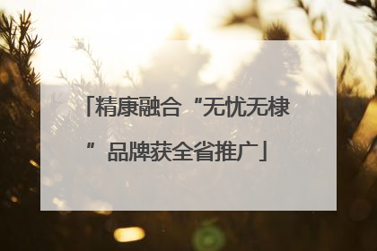 精康融合“无忧无棣”品牌获全省推广