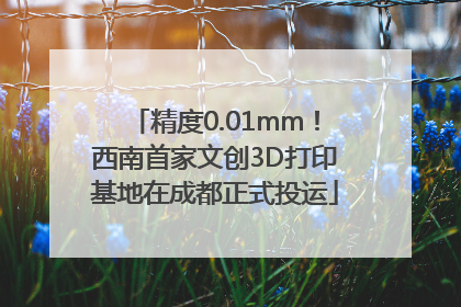 精度0.01mm！西南首家文创3D打印基地在成都正式投运
