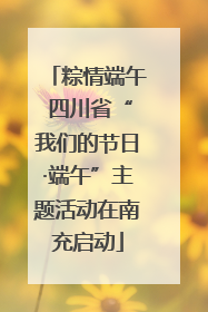 粽情端午 四川省“我们的节日·端午”主题活动在南充启动