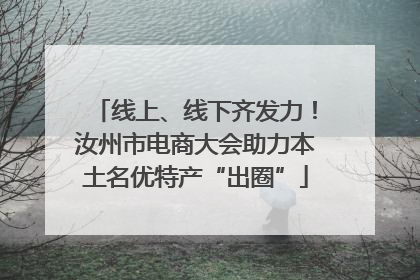 线上、线下齐发力！汝州市电商大会助力本土名优特产“出圈”