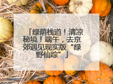 绿荫栈道！清凉秘境！端午，去京郊遇见现实版“绿野仙踪”