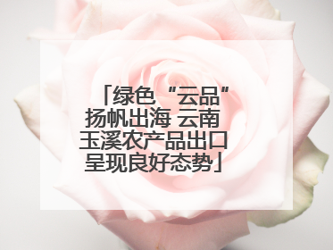 绿色“云品”扬帆出海 云南玉溪农产品出口呈现良好态势