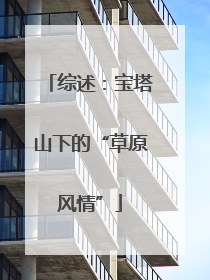 综述：宝塔山下的“草原风情”
