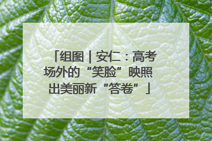 组图｜安仁：高考场外的“笑脸”映照出美丽新“答卷”