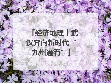 经济地理丨武汉奔向新时代“九州通衢”
