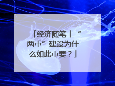 经济随笔丨“两重”建设为什么如此重要？