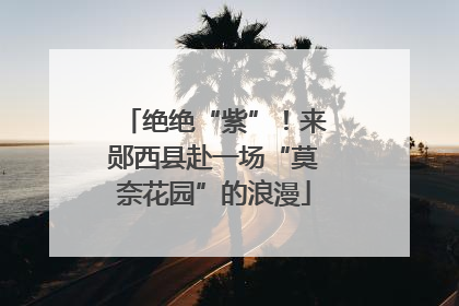 绝绝“紫”！来郧西县赴一场“莫奈花园”的浪漫
