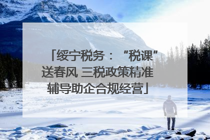 绥宁税务：“税课”送春风 三税政策精准辅导助企合规经营