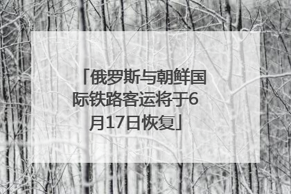 俄罗斯与朝鲜国际铁路客运将于6月17日恢复