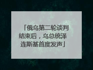 俄乌第二轮谈判结束后，乌总统泽连斯基首度发声