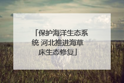 保护海洋生态系统 河北推进海草床生态修复