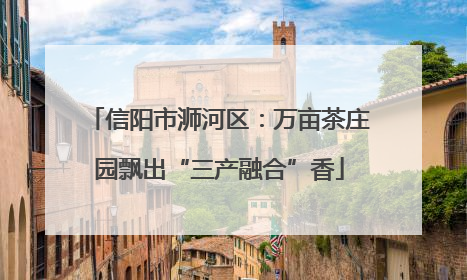 信阳市浉河区：万亩茶庄园飘出“三产融合”香